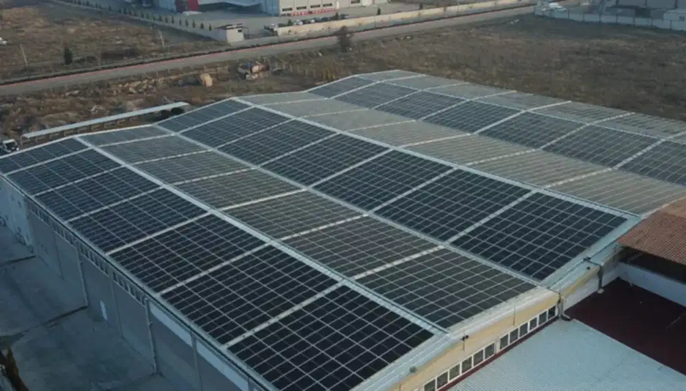 Yapraklar Denizli powersolar com tr